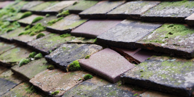 Wyton roof repair costs